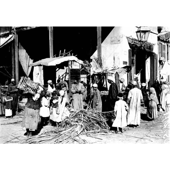 Port-Saïd. Marchands de canne à sucre. [légende d'origine]