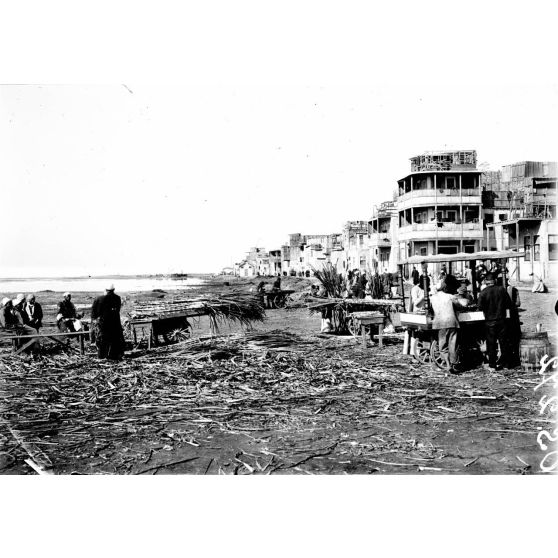 Port-Saïd. Au bord du lac Manzaleh. [légende d'origine]