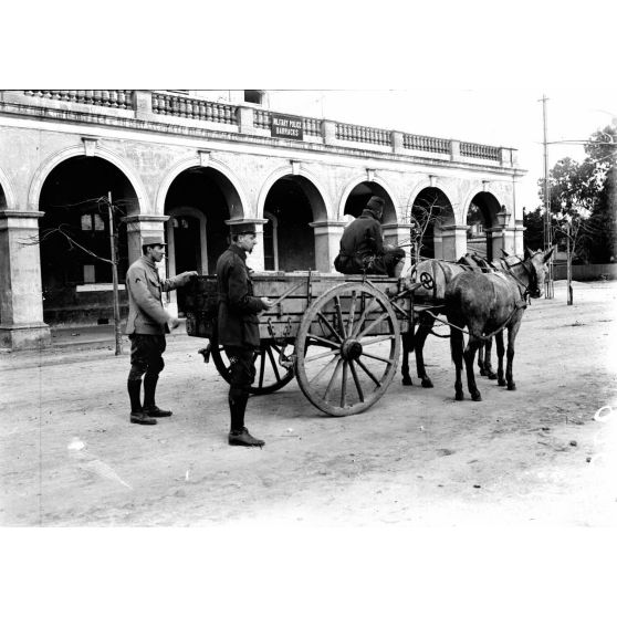 Port-Saïd (Egypte). Le transport du matériel de la SPCA. [légende d'origine]