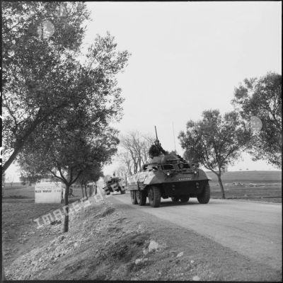 Deux auto-mitrailleuses M8 en progression sur une route de la commune mixte de Marnia lors d'une manœuvre.