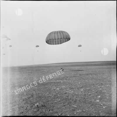 Atterrissage d'un parachutiste lors d'une manœuvre en Oranie.