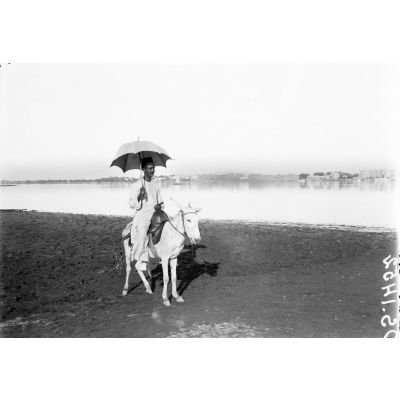 Portrait à cheval du guide Moh, au fond, le Nil. [légende d'origine]
