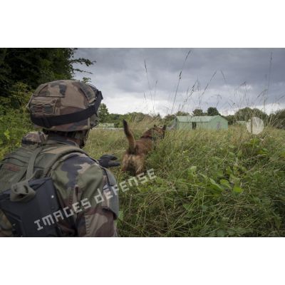 Dans le cadre d'un entraînement opérationnel, un maître-chien qui appuie un groupe d'infanterie du 132e BCAT (bataillon cynophile de l'armée de Terre) donne l'ordre à son chien d'intercepter un individu armé.
