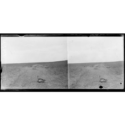 Attaque du 18 juillet 1918. Près de Chaudun (Aisne), cadavre d'un artilleur allemand devant un emplacement de batterie. [légende d'origine]