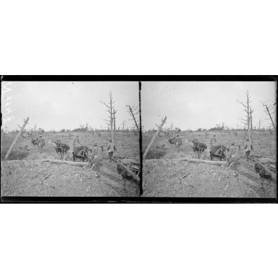 Région du Mont sans nom (Marne). Piste de Ham ; bourriquets transportant des munitions à  travers les positions conquises. [légende d'origine]