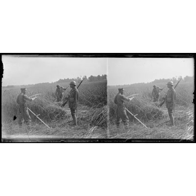 Près Faverolles (Aisne). Prisonniers allemands faisant la moisson dans la région reconquise. [légende d'origine]
