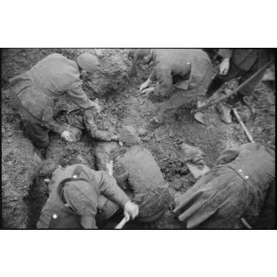 Exhumation de corps de résistants du maquis d'Avignon par des prisonniers allemands.