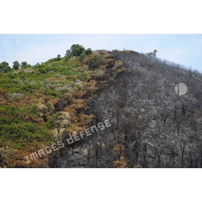 En Corse, vallée de Péri, vue d'ensemble de la zone de forêt touchée par l'incendie lors de l'opération Hèphaïstos.