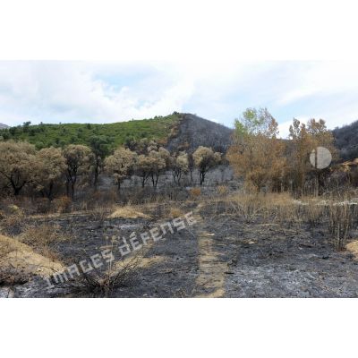 En Corse, vallée de Péri, vue d'ensemble de la zone de forêt touchée par l'incendie lors de l'opération Hèphaïstos.
