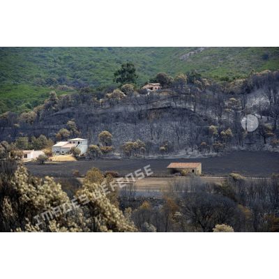 En Corse, dans la vallée de Péri, la forêt dévastée et des maisons sauvées de l'incendie lors de l'opération Hèphaïstos.