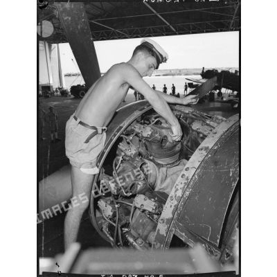 Révision du moteur d'un avion Bearcat du groupe de chasse 1/8 Saintonge à l'intérieur d'un hangar.