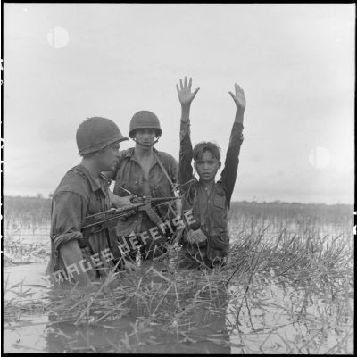 Arrestation d'un partisan du Viêt-minh camouflé dans la rizière, au cours d'une opération menée par le 6e BPC dans le secteur de Phuc Yen.