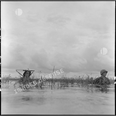 Des éléments du 6e BPC (bataillon de parachutistes coloniaux) progressent complètement immergés dans la rizière inondée, à la recherche de partisans du Viêt-minh dissimulés.
