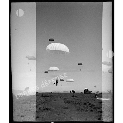 Parachutage d'éléments du 2/1 RCP (2e bataillon du 1er régiment de chasseurs parachutistes) lors d'une manoeuvre à Tong.