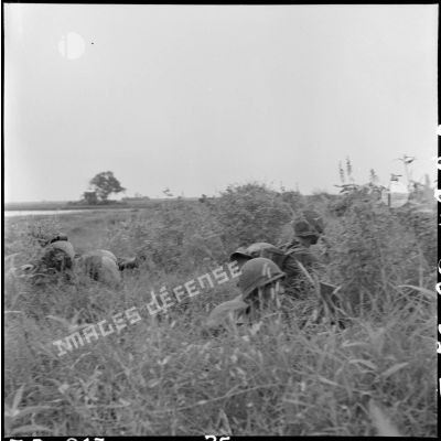 Progression d'élements du 3e BPVN (bataillon de parachutistes vietnamiens) embusqués dans les herbes au cours de l'opération Flandres.