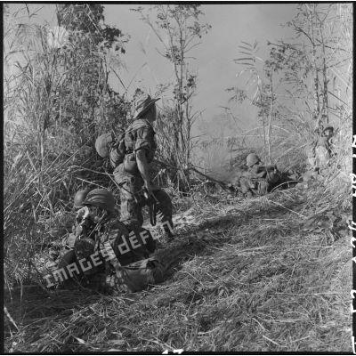 Au nord de Diên Biên Phu sur la piste Pavie, dans le chaos du combat, au milieu des flammes et des tirs, les parachutistes du 5e BPVN (bataillon de parachutistes vietnamiens) cherchent à échapper à l'incendie qui ronge la cote 1145 pour reprendre l'initiative.