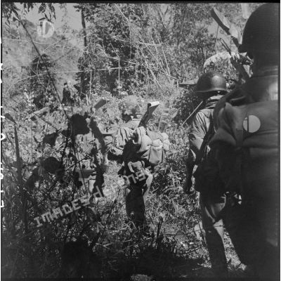 Des parachutistes de la colonne Langlais se dirigeant vers le Laos progressent à travers une végétation très dense.