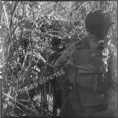 Des parachutistes de la colonne Langlais se dirigeant vers le Laos progressent à travers une végétation très dense.