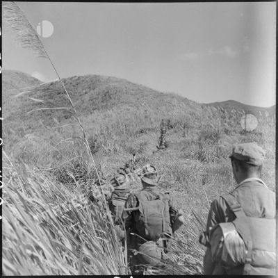 Progression difficile de parachutistes de la colonne Langlais à travers de hautes herbes à éléphant au cours d'une marche vers le Laos.