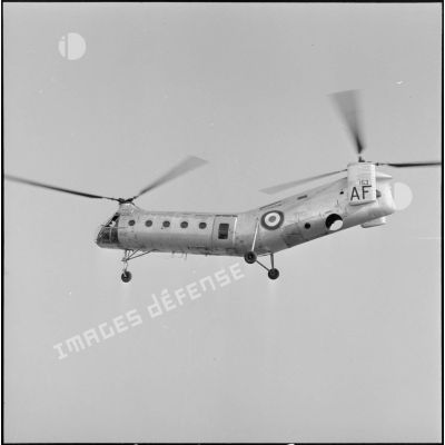 Un hélicoptère Piasecki en vol.