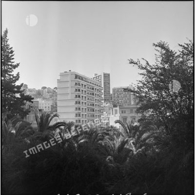 Ensemble d'immeubles construits dans un quartier d'Alger.