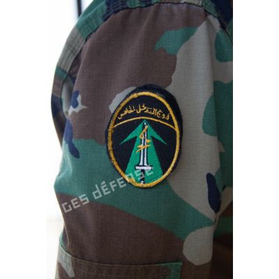 Insigne des forces spéciales libanaises.