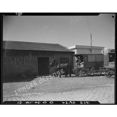 Un homme conduit une charrette attelée à deux mules, devant un bâtiment en briques, à Maison-Carrée.