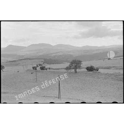 Transport de troupes à bord d'half-tracks sur la route de Mouzaïaville.