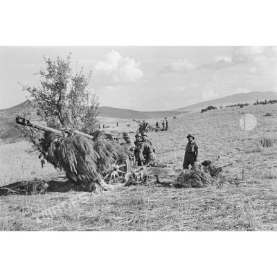 Servants d'un canon dans la région de Mouzaïaville.