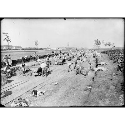 Près de Châlons-sur-Marne. Construction d'une voie ferrée du camp de Mailly à Saint-Hilaire-le-Grand. Déblaiement du terrain. [légende d'origine]