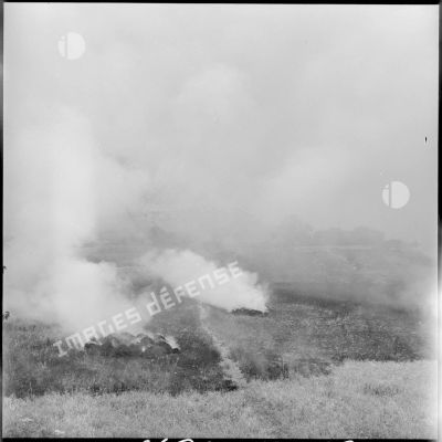 Champs incendiés, région de Constantine.