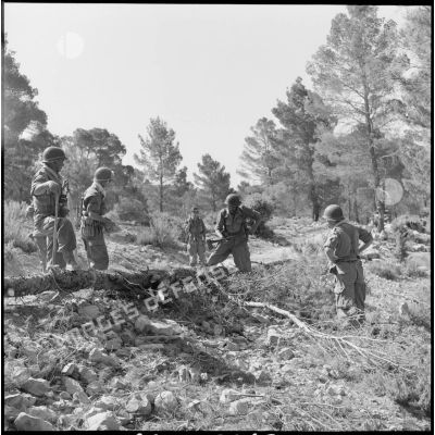 Soldat du 3e régiment étranger d'infanterie (REI) coupant un arbre à la hache, région de Constantine.