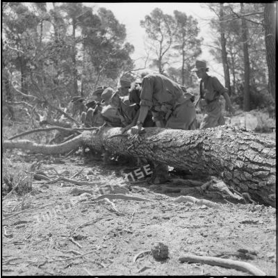 Soldats du 3e régiment étranger d'infanterie (REI) essayant de déplacer un arbre, région de Contantine.