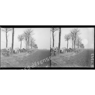 Bois du Domont-Desrainées (Somme). La 64e DI monte en ligne, défilé du 339e d’infanterie. [légende d’origine]