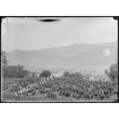 Ile de Céphalonie. Panorama d'Argostoli. [légende d'origine]