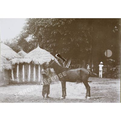 [Un Africain et son cheval, s. d.]