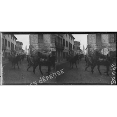 Ravitaillement français par mulets traversant la ville. [légende d'origine]