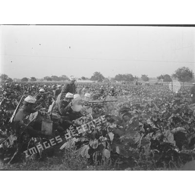 [Tir à la mitrailleuse Saint-Etienne 1907 dans un champ agricole pendant les grandes manoeuvres de 1912.]