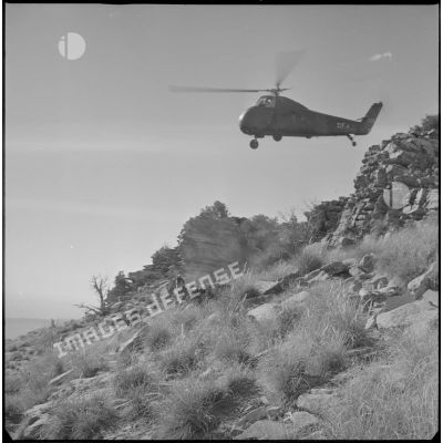 [Opération avec le commando Cobra aux monts des Ksour dans le secteur de Géryville. Soldats en progression et hélicoptère Sikorsky H-34 de l'aéronavale en survol.]