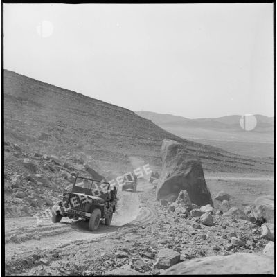 Vue d'un convoi de véhicules militaires (une jeep et deux half-track) qui circulent sur une piste entre le Kreider et Aïn Sefra. [légende d'origine]
