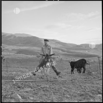 [Soldat sur le dos d'un âne aux alentours d'un village kabyle.]