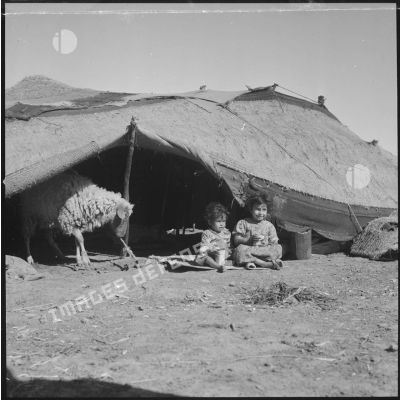 [Enfants assis devant une tente traditionnelle dans un camp de regroupement de nomades à Aïn Skhouna.]