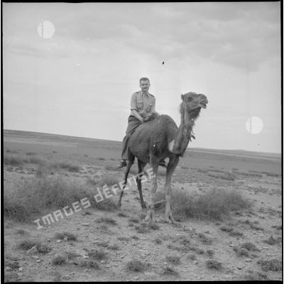 [Portrait du collègue photographe d'Arthur Smet à dos de dromadaire dans la région de Saïda.]