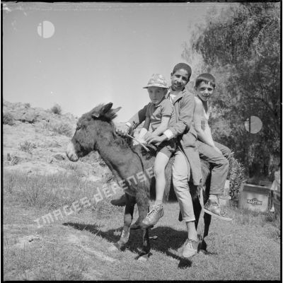 [Enfants posant sur un âne dans la région de Saïda.]