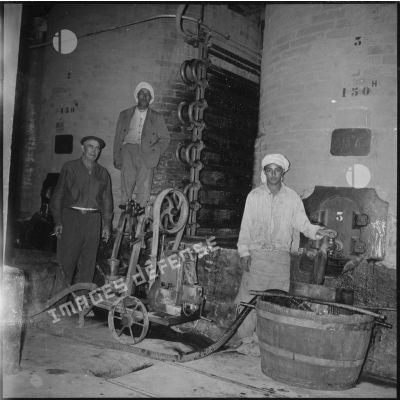 [Ouvriers algériens et propriétaire de la ferme Canteau pendant le travail de vinification à Aïn-el-Hadjar.]