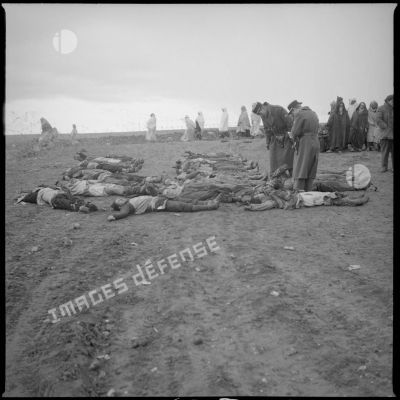 [Cadavres de combattants algériens après une opération dans la région du Dahra.]