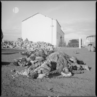 [Cadavres de combattants algériens après une opération dans la région du Dahra.]