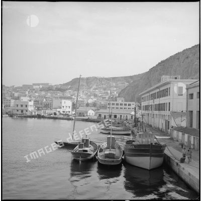 [Les bateaux de plaisance et la ville d'Oran.]