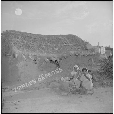 [Jeunes filles d'origine algérienne posant devant un gourbi à Aïn Sekhouna.]