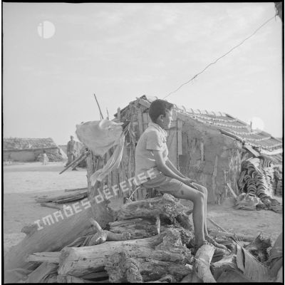 [Garçon assis sur des bûches de bois dans un camp de regroupement à Aïn Sekhouna.]